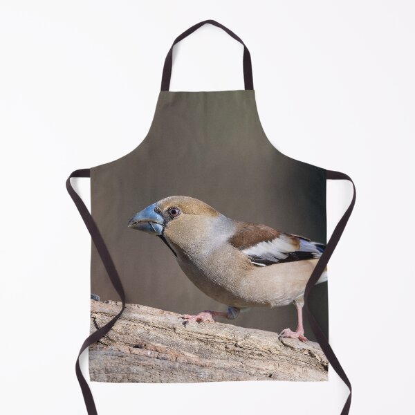 Item preview, The hawfinch bird (Coccothraustes coccothraustes) Frosone comune designed and sold by brambillasimone.