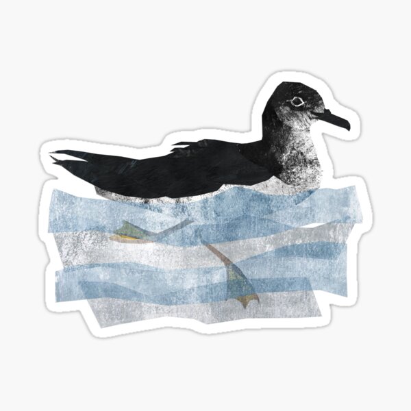 Manx Shearwater Sticker