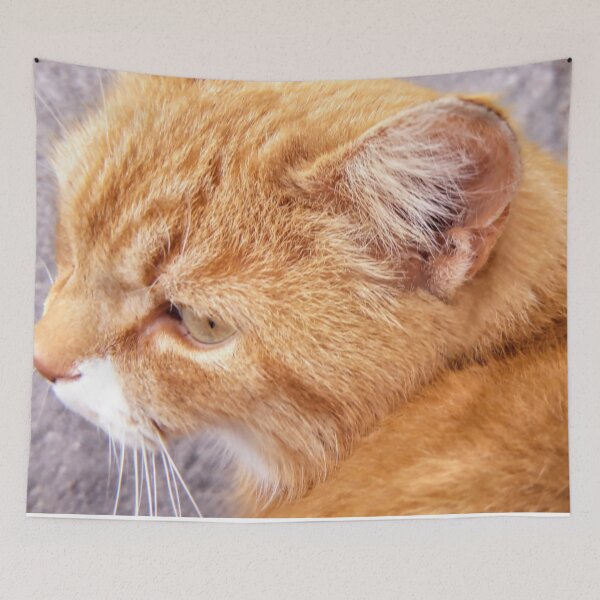 Item preview, Street Cat Kitten Meow designed and sold by Tanja Dianova.