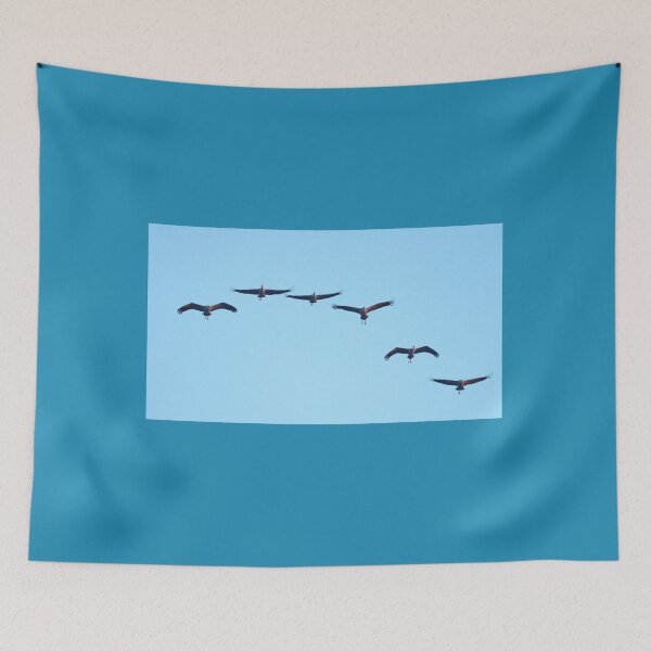 Item preview, They are coming. Eurasian crane fall migration designed and sold by Jouko Lehto Photography.