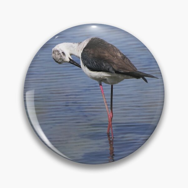 Item preview, r2443/ site ornithologique-du-teich - Echasse blanche - 2018 par Okaio Créations - Olavia-Olao designed and sold by o.okaïo.