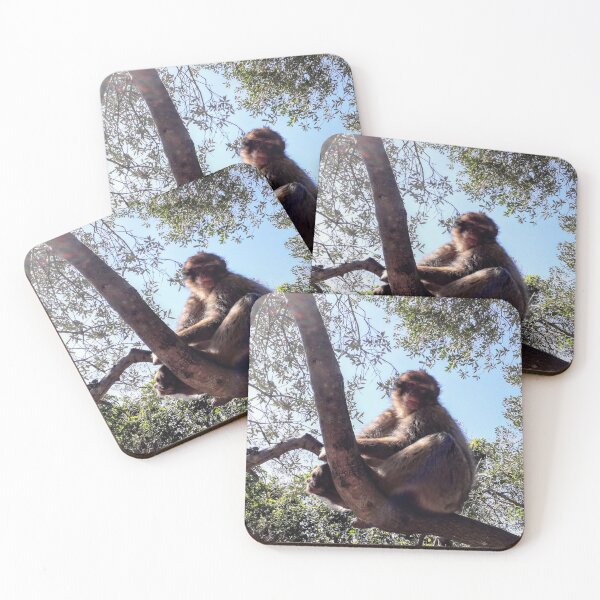 Item preview, Monkey at the tree Gibraltar Barbary macaques designed and sold by Tanja Dianova.