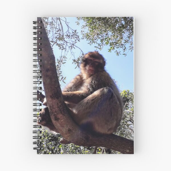 Item preview, Monkey at the tree Gibraltar Barbary macaques designed and sold by Tanja Dianova.
