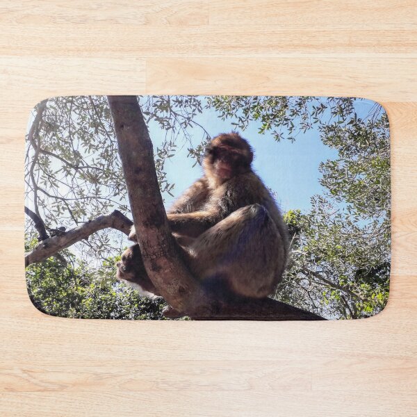 Item preview, Monkey at the tree Gibraltar Barbary macaques designed and sold by Tanja Dianova.
