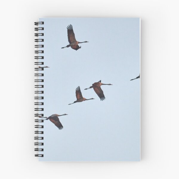 Item preview, Going south. Eurasian crane fall migration designed and sold by Jouko Lehto Photography.