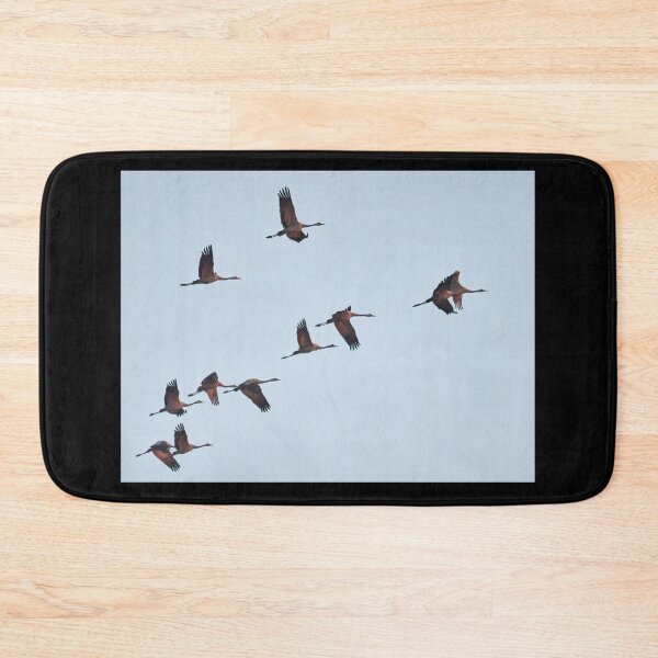 Item preview, Going south. Eurasian crane fall migration designed and sold by Jouko Lehto Photography.