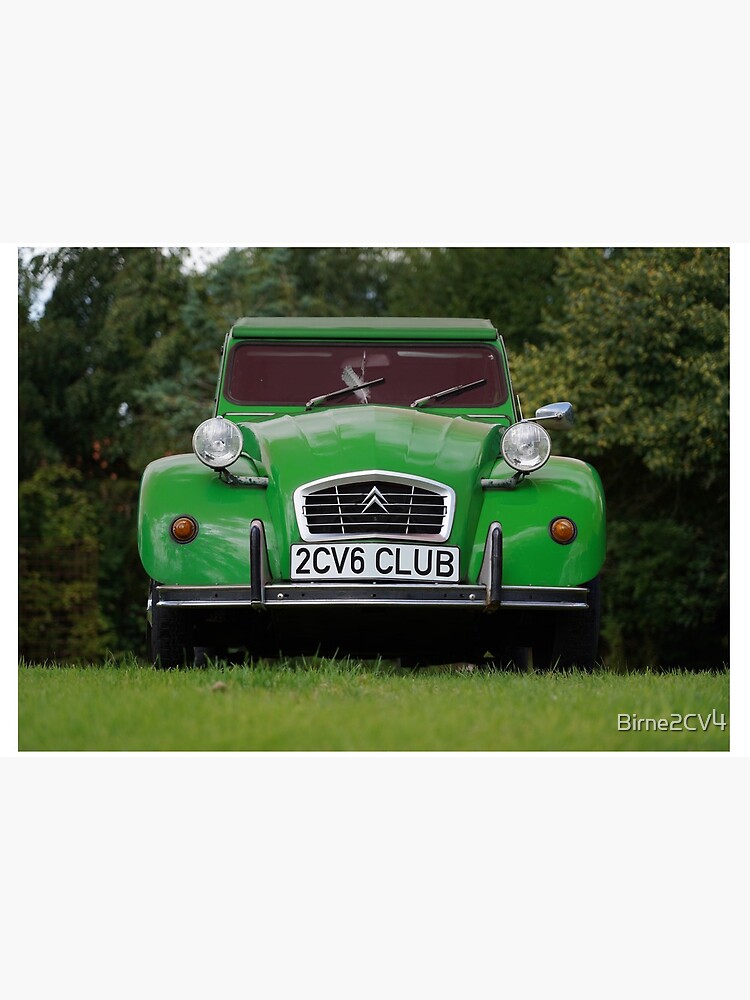 2CV6 Club Ente Deux Chevaux Sausssente grün von Birne2CV4