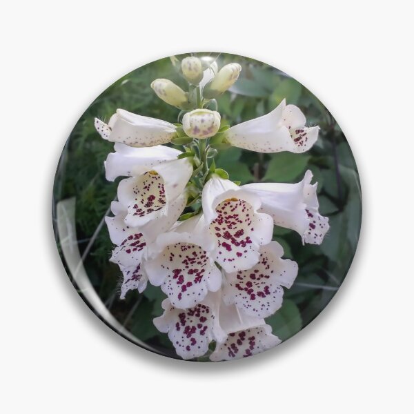 Item preview, White foxglove Digitalis purpurea White flowers Garden plants designed and sold by Tanja Dianova.