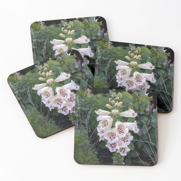 Item preview, White foxglove Digitalis purpurea White flowers Garden plants designed and sold by Tanja Dianova.