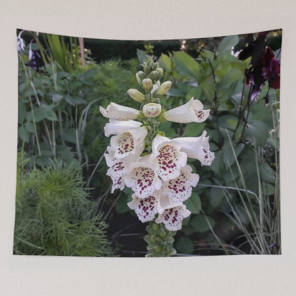 Item preview, White foxglove Digitalis purpurea White flowers Garden plants designed and sold by Tanja Dianova.