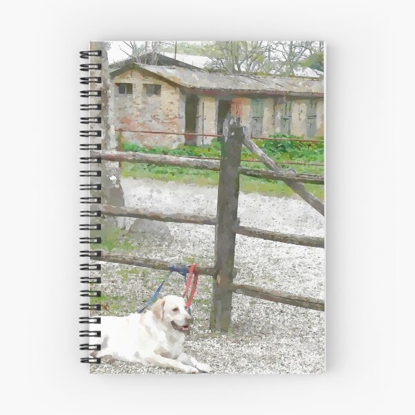 Item preview, Dogs designed and sold by Giuseppe Cocco.