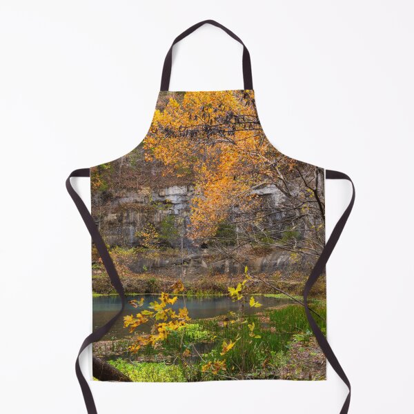 Item preview, Autumn View Alley Spring designed and sold by mljdwhite.