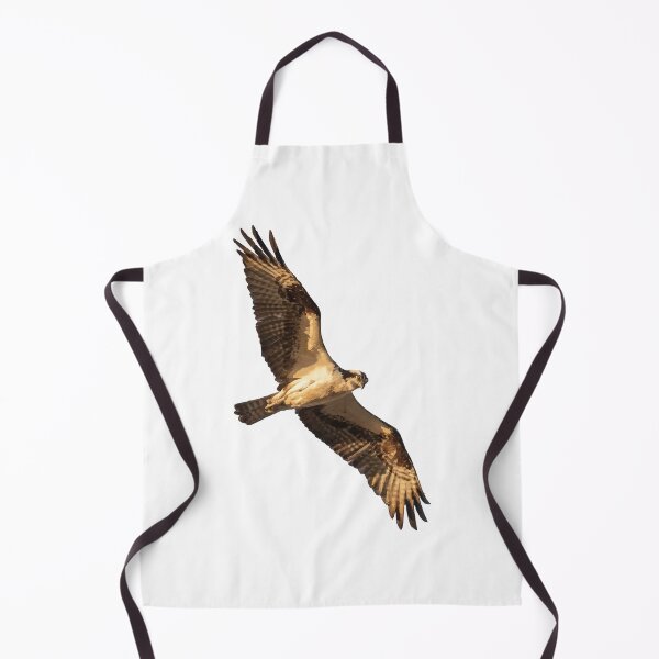 Item preview, Brown and white hawk Sticker designed and sold by LovelySmile.
