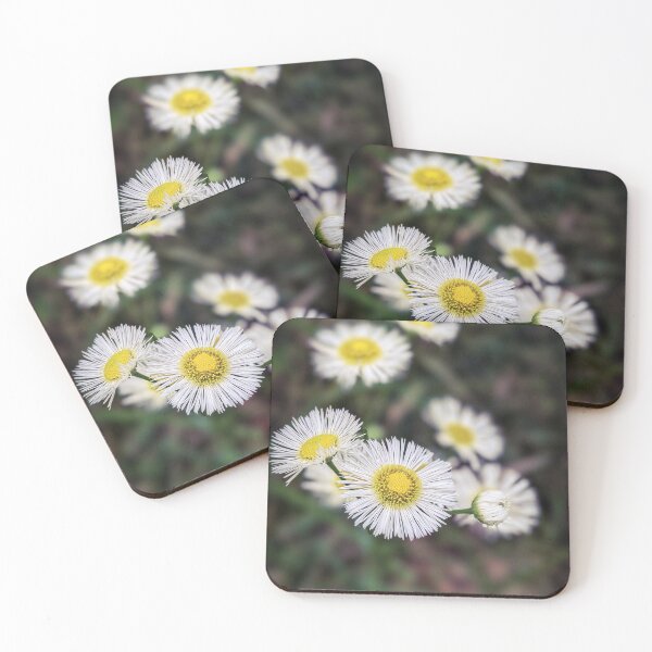 Artikelvorschau, Waldblumen entworfen und verkauft von Tipton-Creative.