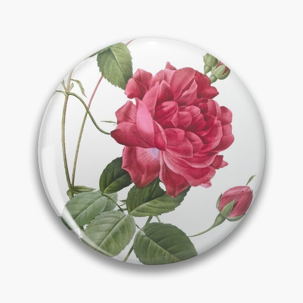 Item preview, Rosa Indica designed and sold by domdjs4239.