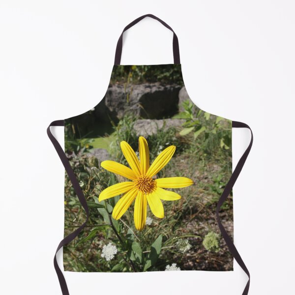 Item preview, Yellow Daisy on Green Field with Rocks - photo designed and sold by MoClan-Graphics.