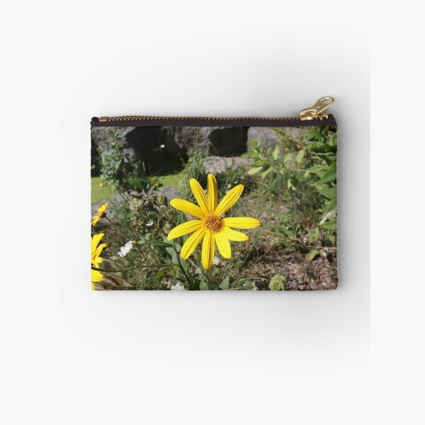 Item preview, Yellow Daisy on Green Field with Rocks - photo designed and sold by MoClan-Graphics.