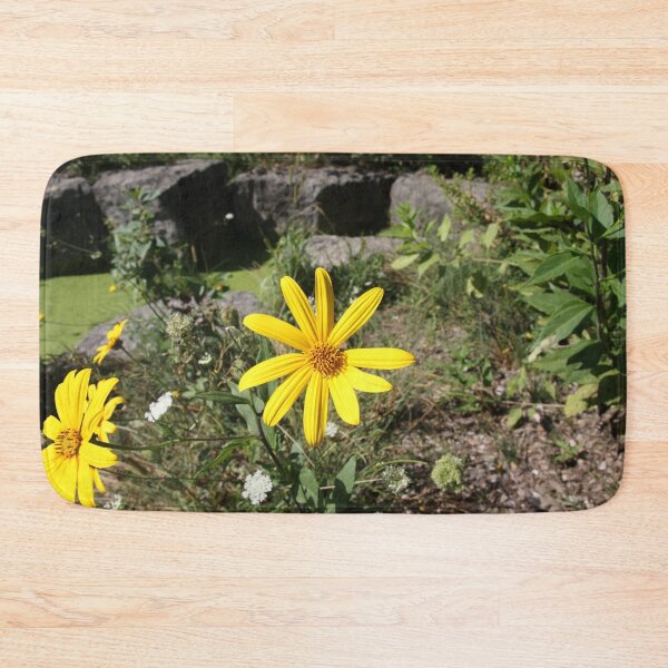 Item preview, Yellow Daisy on Green Field with Rocks - photo designed and sold by MoClan-Graphics.
