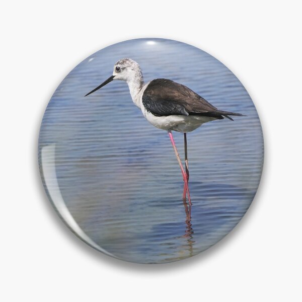 Item preview, r2444/ site ornithologique-du-teich - Echasse blanche - 2018 par Okaio Créations - Olavia-Olao designed and sold by o.okaïo.