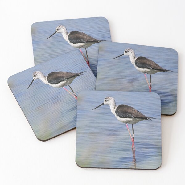 Item preview, r2444/ site ornithologique-du-teich - Echasse blanche - 2018 par Okaio Créations - Olavia-Olao designed and sold by o.okaïo.