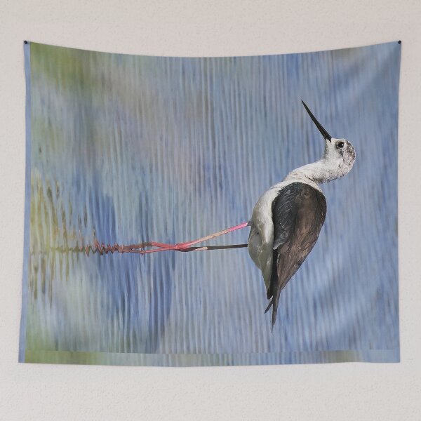 Item preview, r2444/ site ornithologique-du-teich - Echasse blanche - 2018 par Okaio Créations - Olavia-Olao designed and sold by o.okaïo.