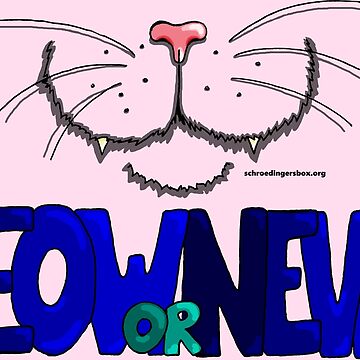 Vorschaubild zum Design Meow or Never & Nosy Cat auf Pink von Schrödingers Box