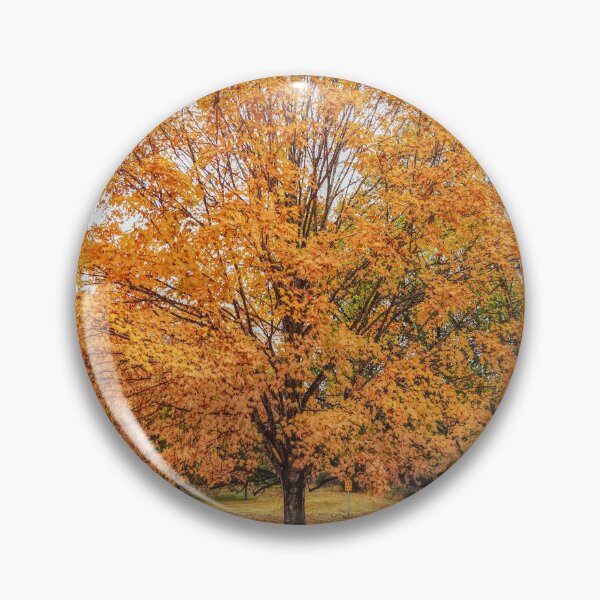 Item preview, Orange Sugar Maple designed and sold by mljdwhite.