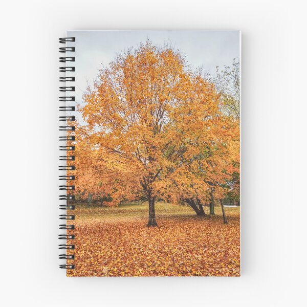 Item preview, Orange Sugar Maple designed and sold by mljdwhite.