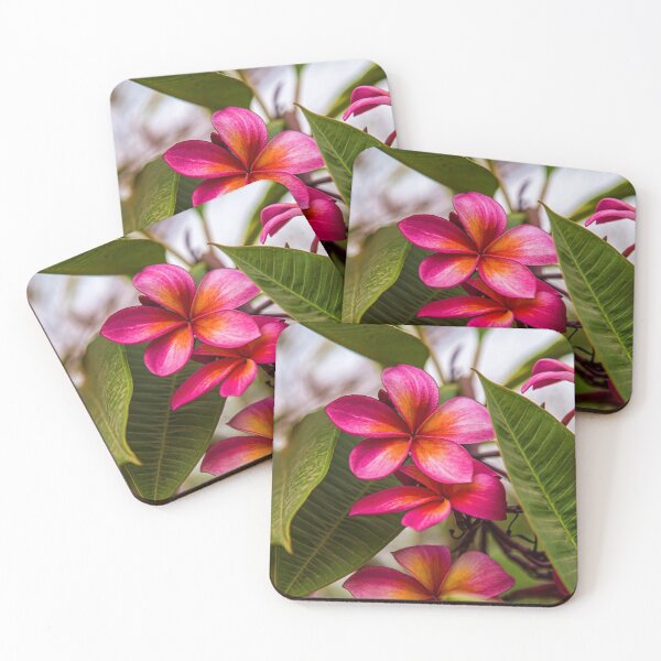 Item preview, Laos. Vientiane. Frangipani flowers. designed and sold by vadim19.