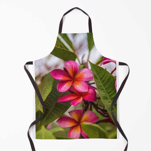 Item preview, Laos. Vientiane. Frangipani flowers. designed and sold by vadim19.