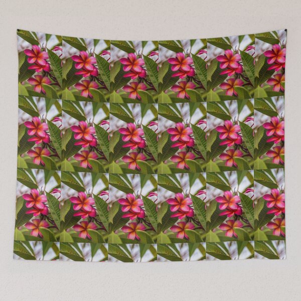 Item preview, Laos. Vientiane. Frangipani flowers. designed and sold by vadim19.