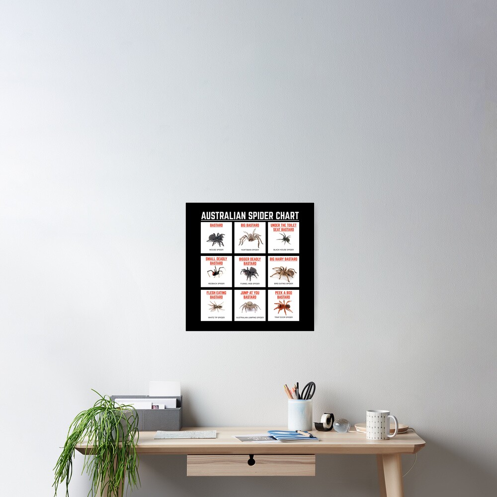 funny-australian-spider-chart-poster-for-sale-by-carlcraddock-redbubble