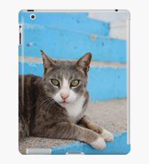 Cat iPad Case/Skin