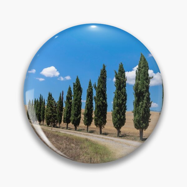 Item preview, Cypress trees in Tuscany designed and sold by pietrofoto.