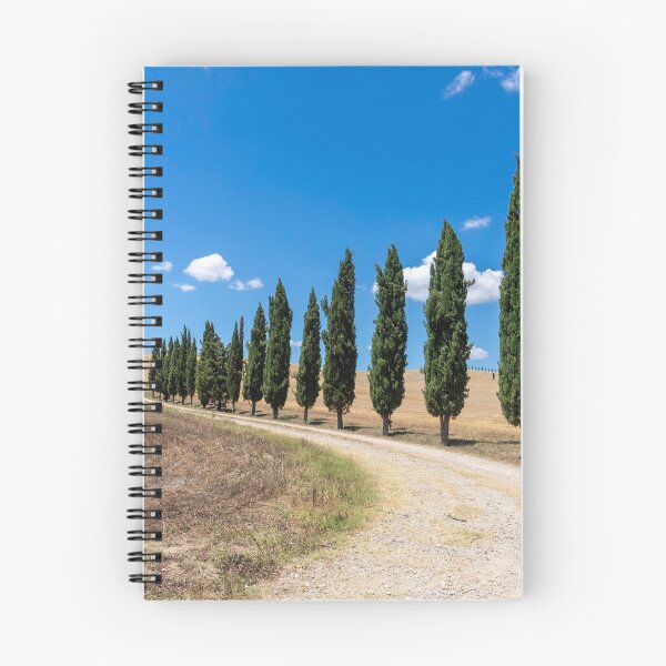 Item preview, Cypress trees in Tuscany designed and sold by pietrofoto.