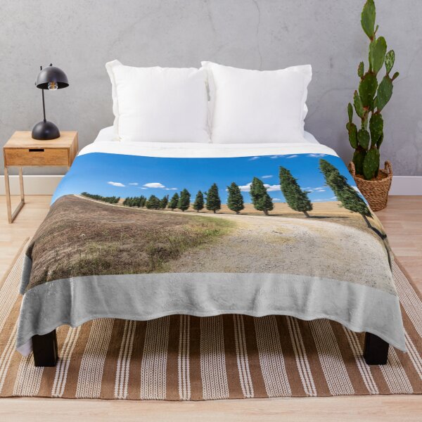 Item preview, Cypress trees in Tuscany designed and sold by pietrofoto.