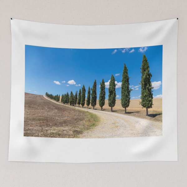 Item preview, Cypress trees in Tuscany designed and sold by pietrofoto.