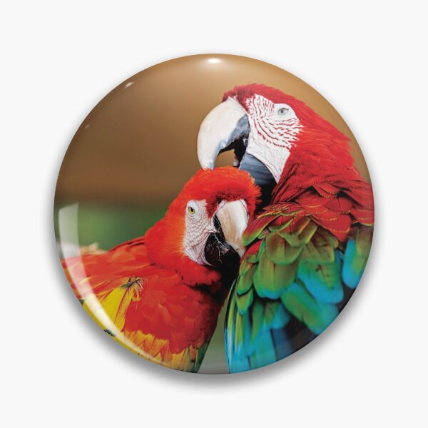 Item preview, Macaw couple designed and sold by flamendes.