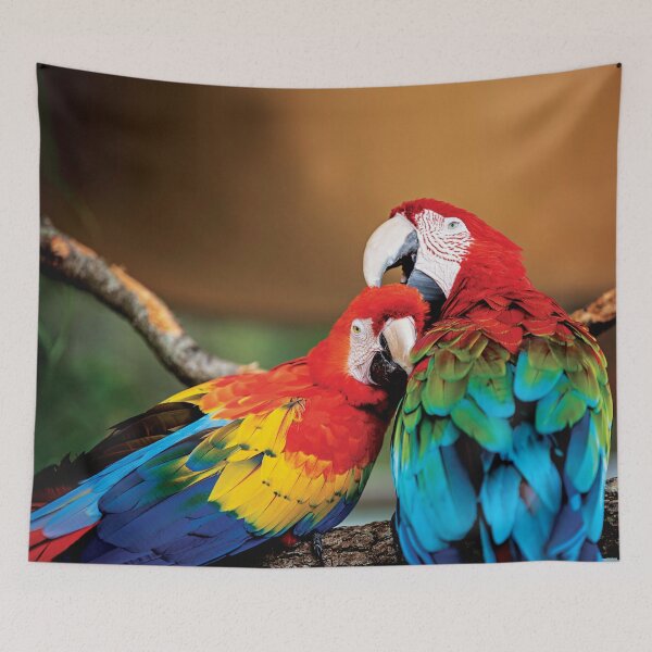 Item preview, Macaw couple designed and sold by flamendes.
