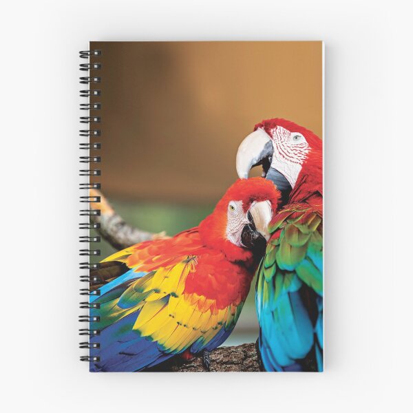 Item preview, Pareja de guacamayos designed and sold by flamendes.