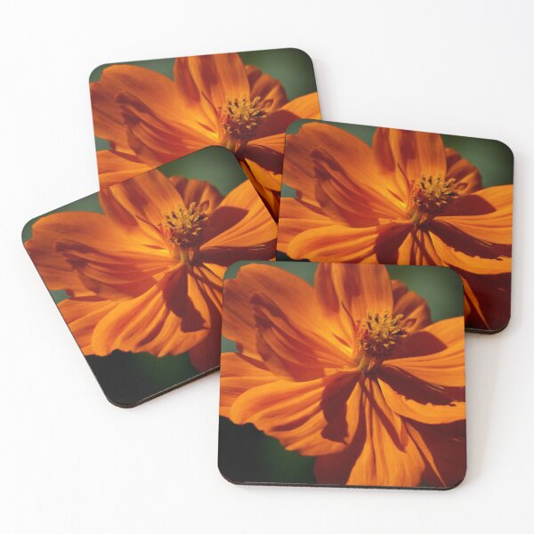 Item preview, Ready for my Closeup designed and sold by Eileen McVey.