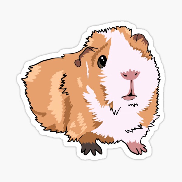 Stickers Planner Stickers Birthday Stickers Birthday Piggies Animal Stickers Guinea Pig Stickers Event Stickers