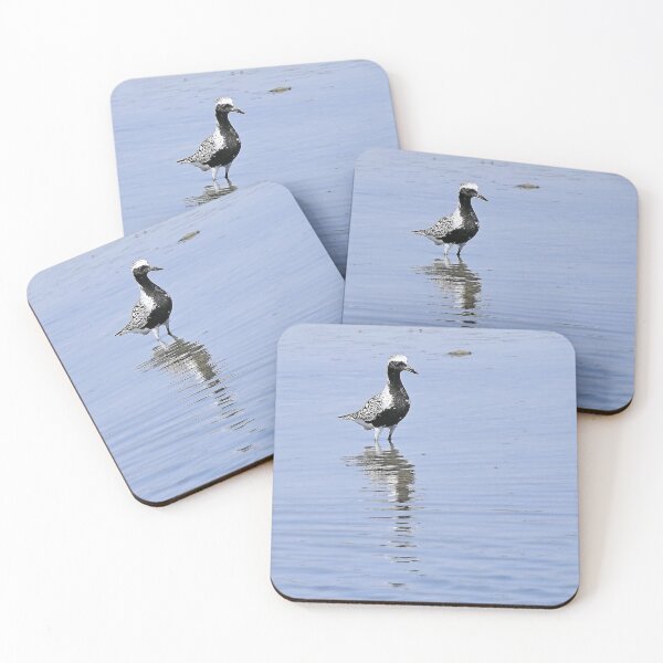 Item preview, r2445/ site ornithologique-du-teich - Pluvier argenté - 2018 par Okaio Créations - Olavia-Olao designed and sold by o.okaïo.