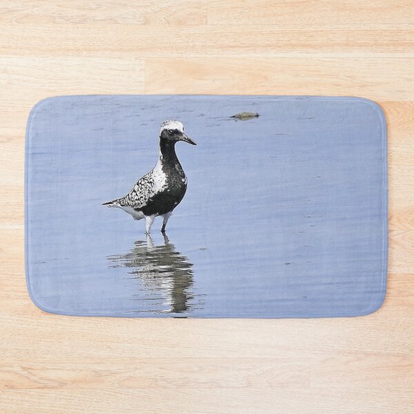 Item preview, r2445/ site ornithologique-du-teich - Pluvier argenté - 2018 par Okaio Créations - Olavia-Olao designed and sold by o.okaïo.