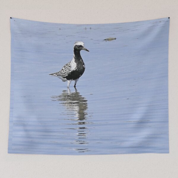 Item preview, r2445/ site ornithologique-du-teich - Pluvier argenté - 2018 par Okaio Créations - Olavia-Olao designed and sold by o.okaïo.