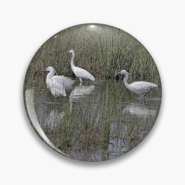 Item preview, r2446/ site ornithologique-du-teich - Aigrette garzette -  2018 par Okaio Créations - Olavia-Olao    designed and sold by o.okaïo.