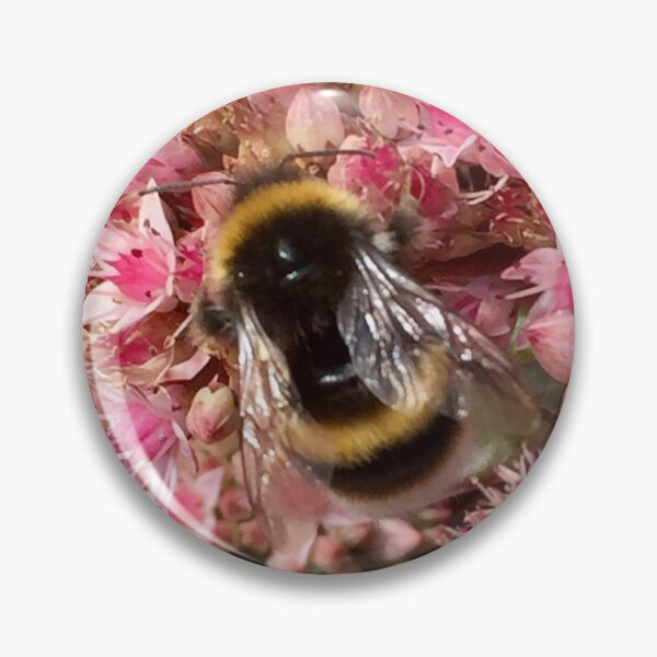 Item preview, Floral Delight Bumblebee on a Sedum Flower. “Save our Bees” designed and sold by Angela Haig-Harrison.