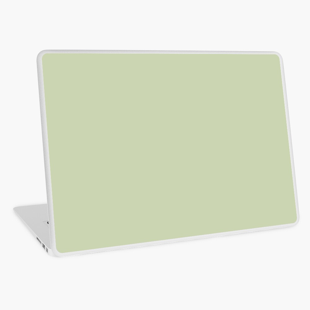 PLAIN SOLID COLOR SEAFOAM GREEN FOR A BREEZY BEACH DECOR AND CLOTHING AESTHETIC Laptop Skin