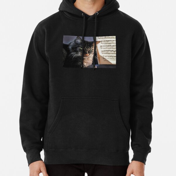 ♫ I'm A Classical Cat ♫ Pullover Hoodie