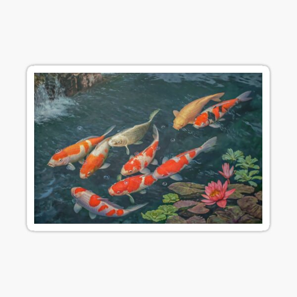 4 Set Pretty Koi Carp Coaster Fish Pond Japan Japanese Fishing Gift #16426 